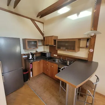 D-mansard, Free Parking, Self-check-in Apartment Klaipeda