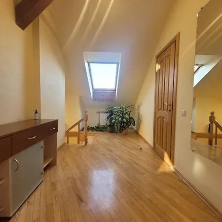 D-mansard, Free Parking, Self-check-in Apartment Klaipeda