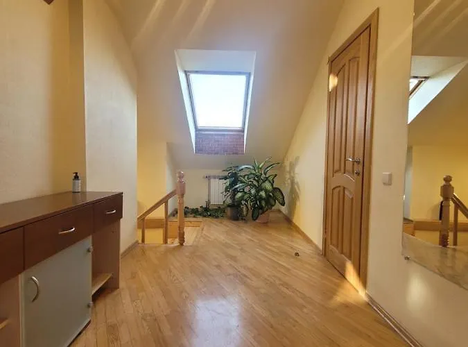 D-mansard, Free Parking, Self-check-in Apartment Klaipeda