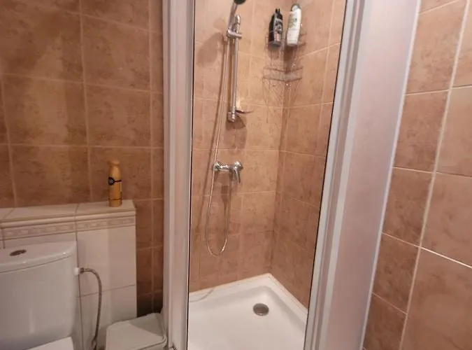 D-mansard, Free Parking, Self-check-in * Klaipeda