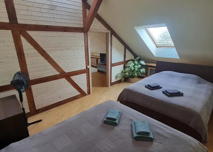 D-mansard, Free Parking, Self-check-in Apartment *